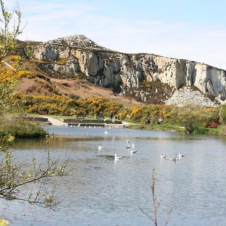 Swn Y Nant Villa Holyhead Dış mekan fotoğraf
