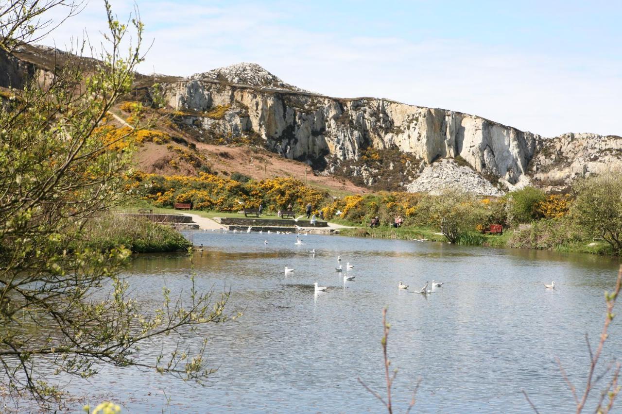 Swn Y Nant Villa Holyhead Dış mekan fotoğraf